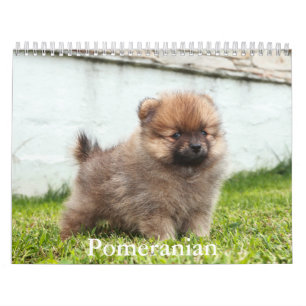 pomeraanse kalender