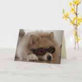 Pomeraanse Vriendschap Kaart (Gele Bloem)