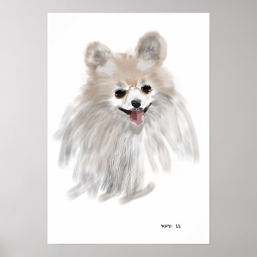 Pomeraïnus Poster (Voorkant)