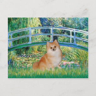 Pomeranian 3 - Brug Briefkaart