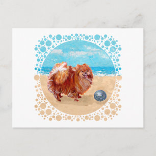 Pomeranian aan de kust briefkaart