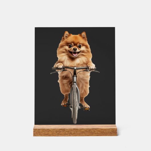 Pomeranian Acryl Bord (Voorkant)