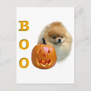 Pomeranian Boo Briefkaart
