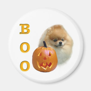 Pomeranian Boo Magneet