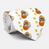 Pomeranian Boo Stropdas (Opgerold)