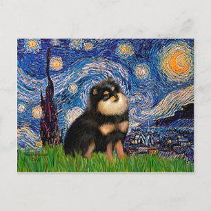 Pomeranian (BT) - Sterrennacht Briefkaart