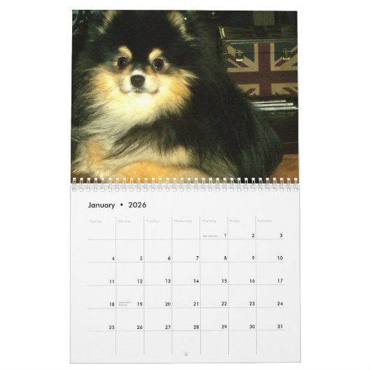 Pomeranian Calendar Kalender (Jan 2026)
