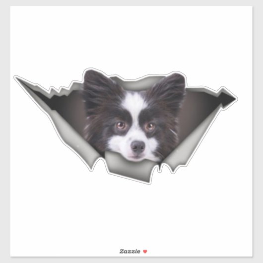 Pomeranian Chien autocollants Dogue Chien Pomerani (Feuille)