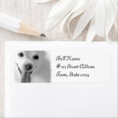 Pomeranian Chien Retour Adresse Étiquette (En situation)