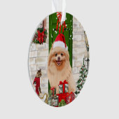 Pomeranian Dog Kerstmis Ornament (voorkant)