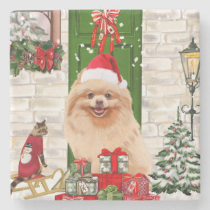 Pomeranian Dog Kerstmis Stenen Onderzetter