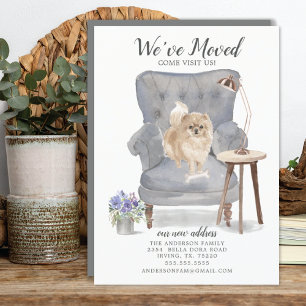 Pomeranian Dog Verplaatsingsaankondiging Aankondiging