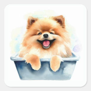 Pomeranian Dog Vierkante Sticker