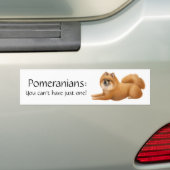 Pomeranian Dogs Bumpersticker (Op auto)