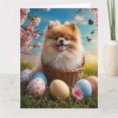 Pomeranian Easter Eggs Kaart (Voorkant)