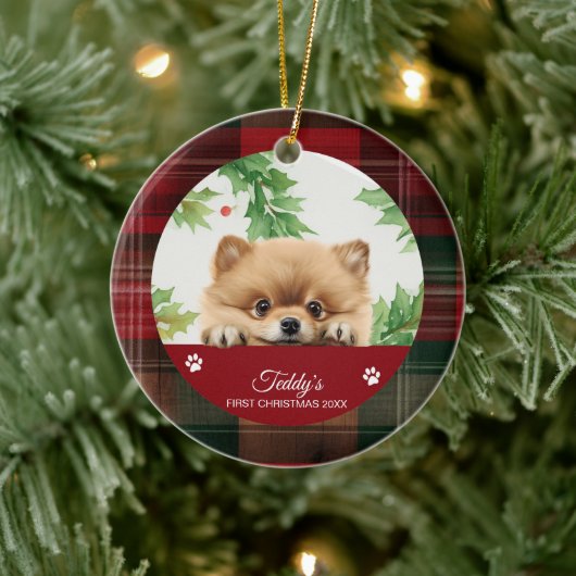 Pomeranian Gepersonaliseerde Eerste Kerstmis Keramisch Ornament (Boom)