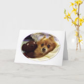 Pomeranian Happy Birthday Kaart (Gele Bloem)