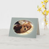 Pomeranian Happy Birthday Wishes Kaart (Gele Bloem)