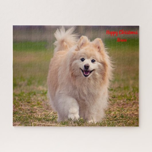 Pomeranian hond. legpuzzel (Horizontaal)