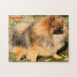 Pomeranian hond. legpuzzel