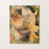 Pomeranian hond. legpuzzel (Verticaal)