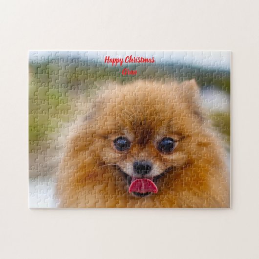 Pomeranian hond. legpuzzel (Horizontaal)