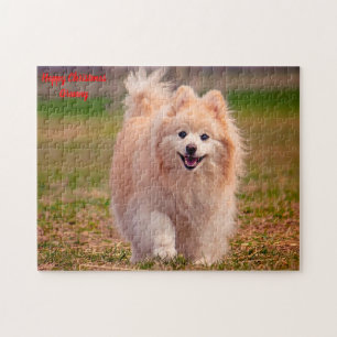 Pomeranian hond. legpuzzel