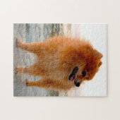 Pomeranian hond. legpuzzel (Horizontaal)