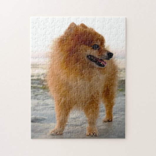 Pomeranian hond. legpuzzel (Verticaal)