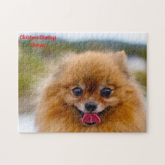 Pomeranian hond. legpuzzel (Horizontaal)