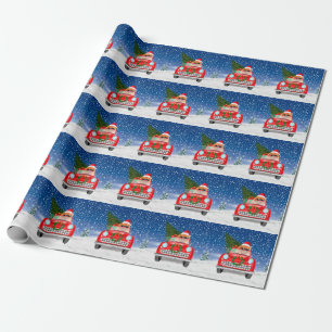 Pomeranian hond rijdt auto in sneeuw Kerstmis Cadeaupapier