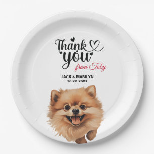 Pomeranian Huwelijk Bedankt Papieren Bordje