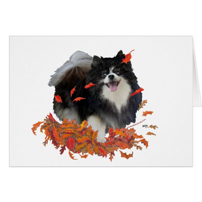 Pomeranian in de herfst (Voorkant Horizontaal)