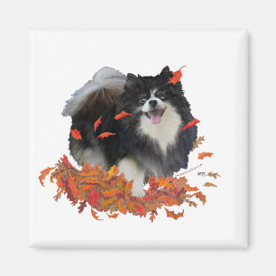 Pomeranian in de herfst magneet