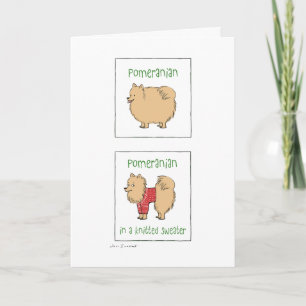 Pomeranian in een gebreide trui   Grappige kerst Feestdagen Kaart