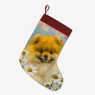 Pomeranian in Madeliefjes Schilderij - Originele H Kleine Kerstsok