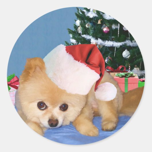 Pomeranian in Santa Hat Sticker (Voorkant)