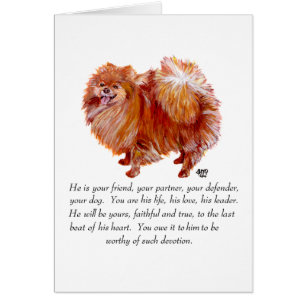 Pomeranian Keepomwille Male