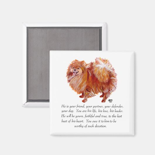 Pomeranian Keepomwille Male Magneet (Voorkant / Achterkant)