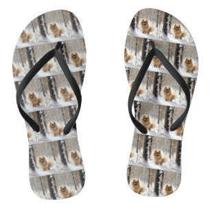 Pomeranian Laat het Sneeuwen Kerstmis Teenslippers