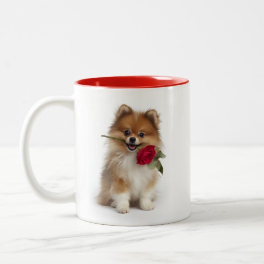 Pomeranian Love Tweekleurige Koffiemok (Links)