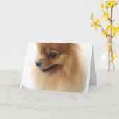 Pomeranian Lover Kaart (Gele Bloem)
