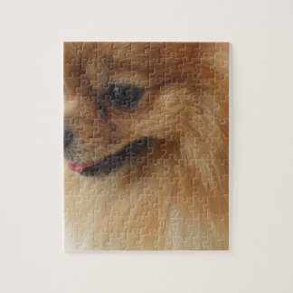 Pomeranian Lover Legpuzzel