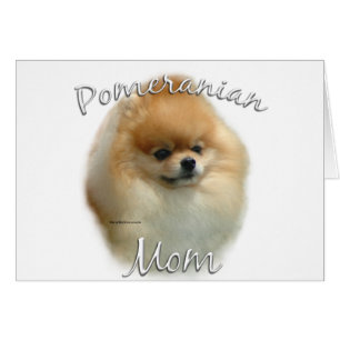 Pomeranian Maman 2