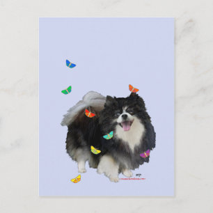 Pomeranian met Vlinders Briefkaart