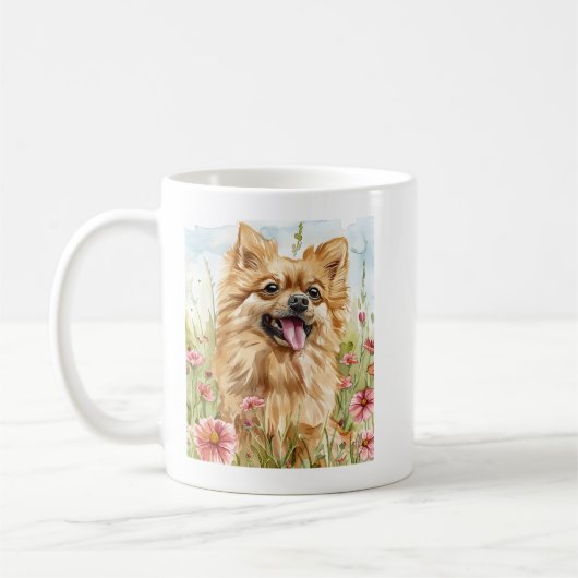 Pomeranian mok (Links)