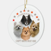 Pomeranian ne peut pas avoir juste un ornement (Gauche)