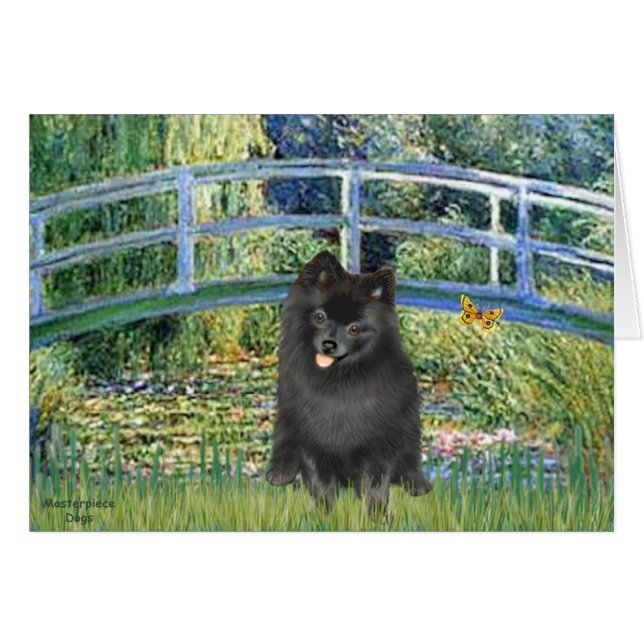 Pomeranian (noir) - Pont (Devant horizontal)