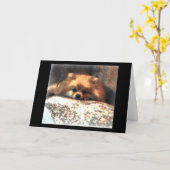 Pomeranian Notecard Kaart (Gele Bloem)