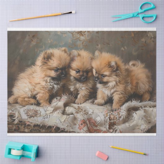 Pomeranian Puppy Trio  Decoupage Tissuepapier (Craft)